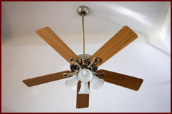 Conservation - Ceiling Fan